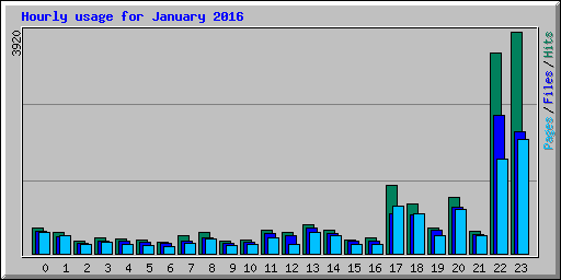 Hourly usage for January 2016